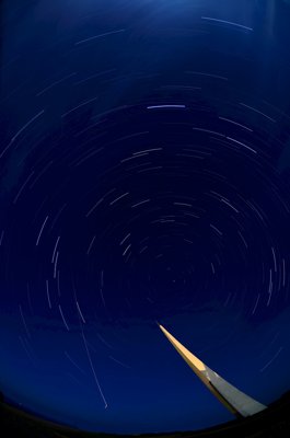 Une agréable compagnie_5943922668_l.jpg